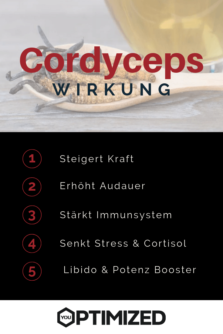 Cordyceps & Raupenpilz Wirkung