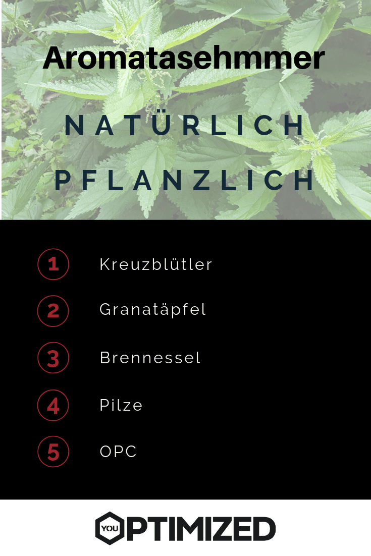 aromatasehemmer 1