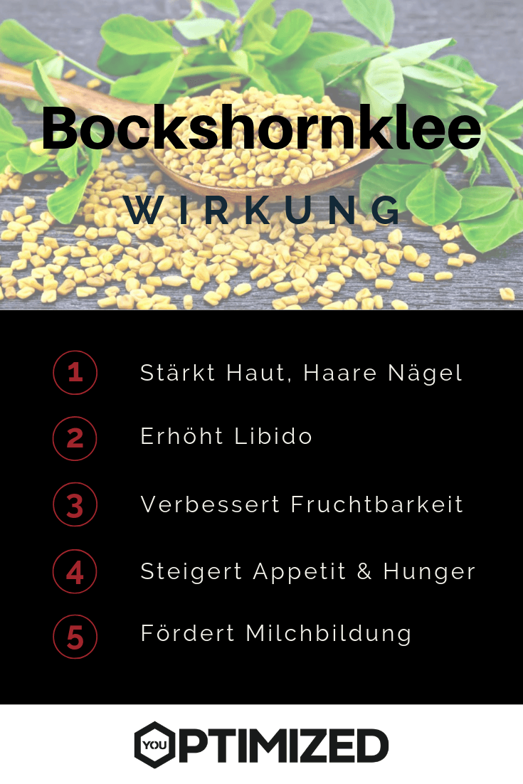 Bockshornklee