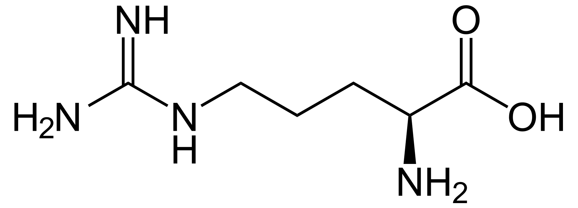 l arginin copy