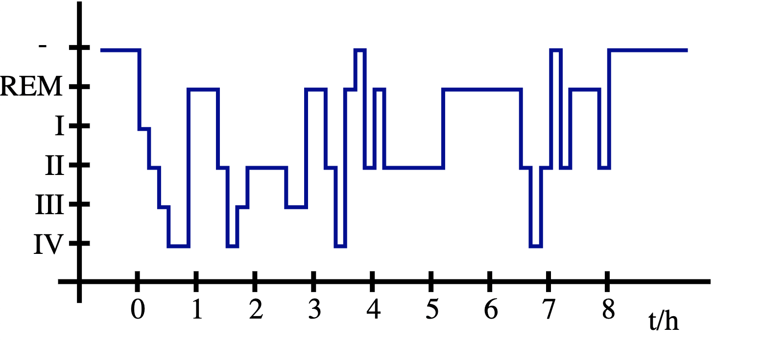 Schlafphasendiagramm