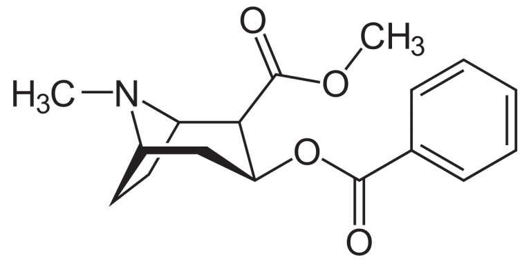 Kokain-strukturformel-wikipedia