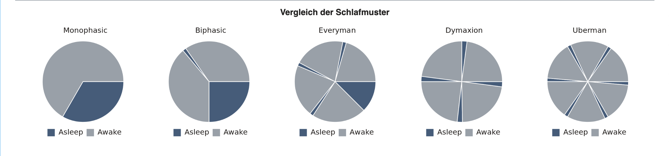 Polyphasischer Schlaf