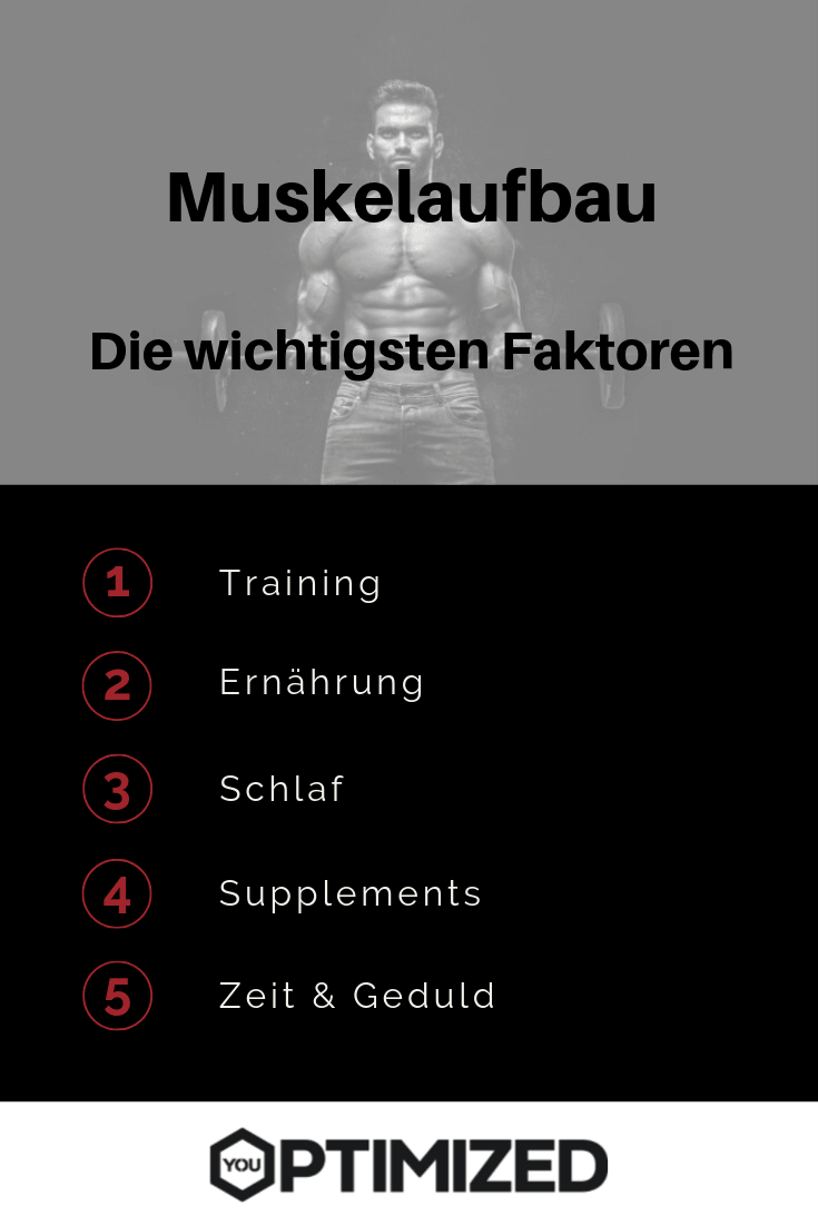 Muskelaufbau