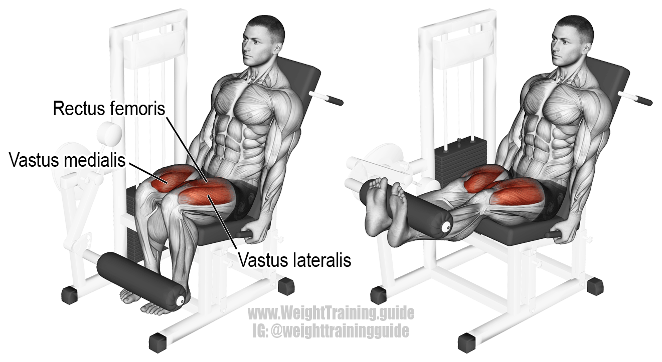 beinstrecker