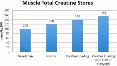 Creatin-speicher Creatin-speicher
